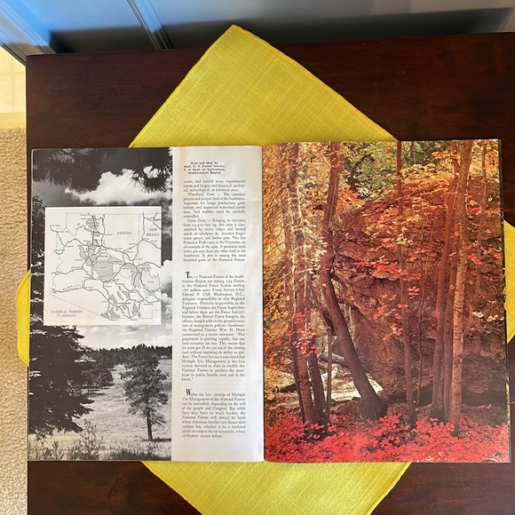 Vintage Arizona Highways magazine, January 1971, The Forests of Arizona - Picture 5 of 5